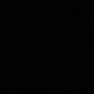 Meet your Posher, Lashonda